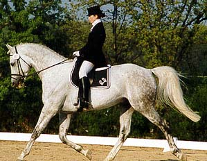 TRAKEHNER